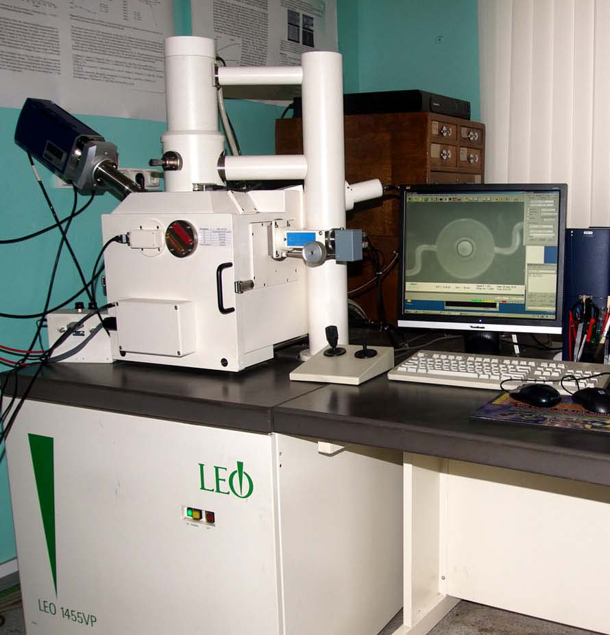 Сканирующая электронная микроскопия
